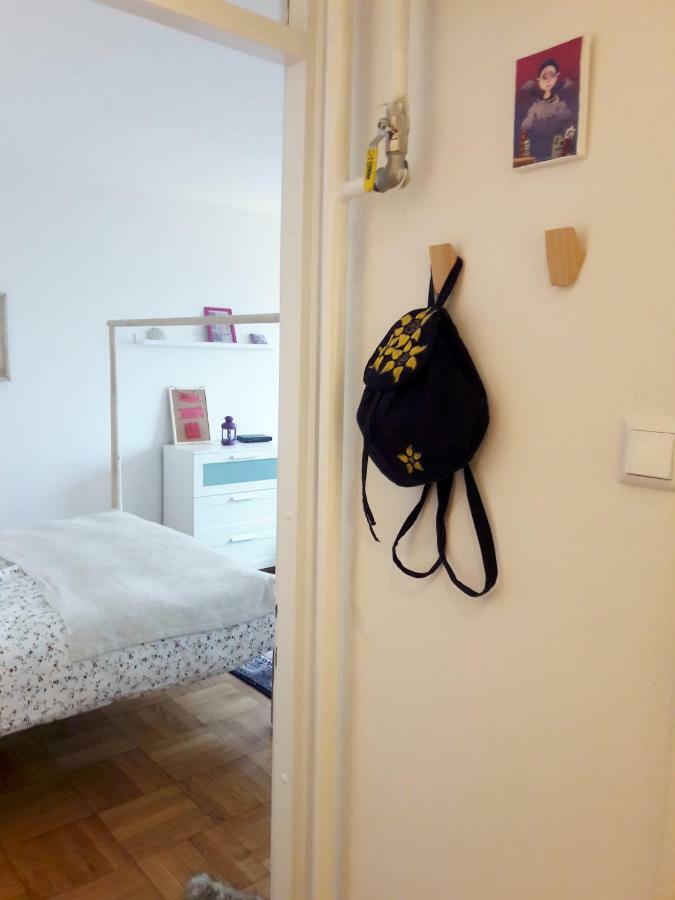 זאגרב Brand New Cosy Apartment מראה חיצוני תמונה